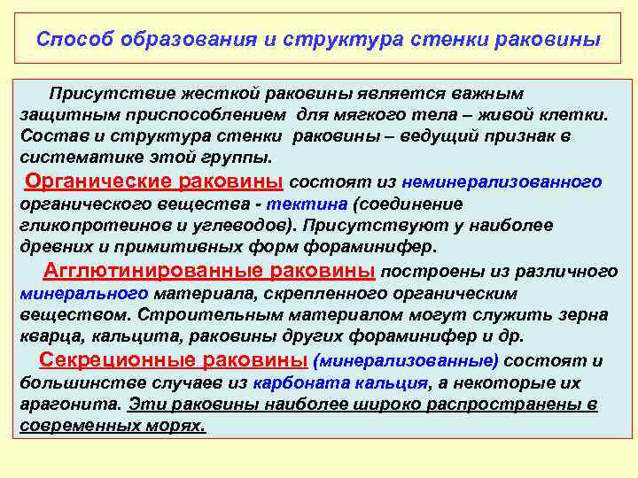 Способ образования и структура стенки раковины Присутствие жесткой раковины является важным защитным приспособлением для