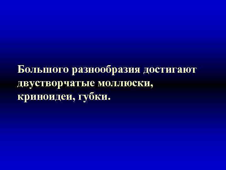 Большого разнообразия достигают двустворчатые моллюски, криноидеи, губки. 