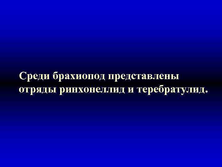 Среди брахиопод представлены отряды ринхонеллид и теребратулид. 