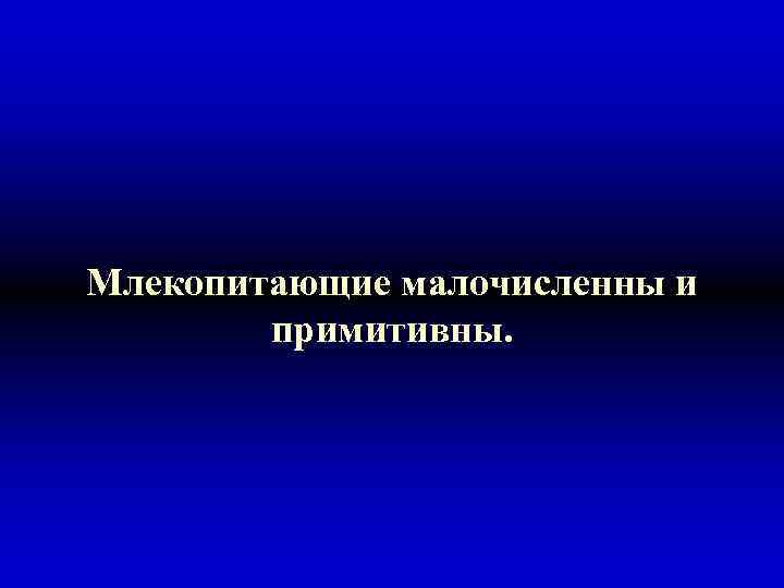 Млекопитающие малочисленны и примитивны. 