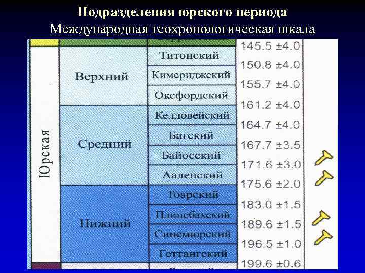 Подразделения юрского периода Международная геохронологическая шкала 