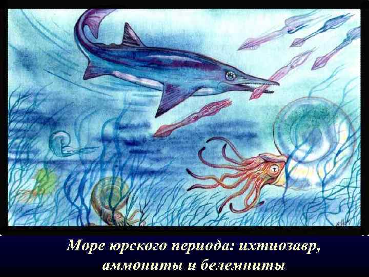 Море юрского периода: ихтиозавр, аммониты и белемниты 