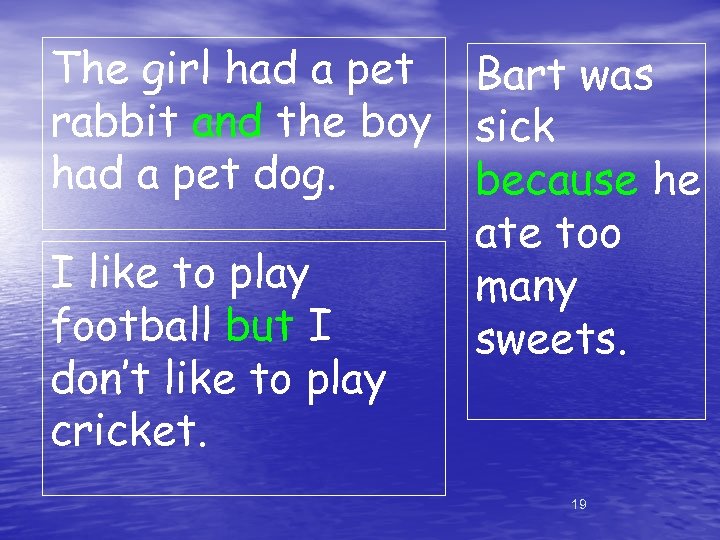 The girl had a pet Bart was rabbit and the boy sick had a