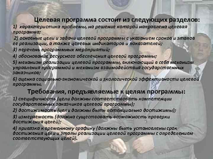 Целевая программа состоит из следующих разделов: 1) характеристика проблемы, на решение которой направлена целевая