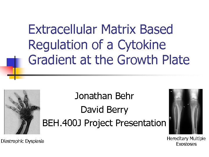 Extracellular Matrix Based Regulation of a Cytokine Gradient at the Growth Plate Jonathan Behr