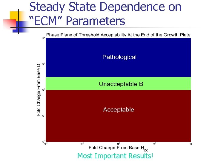 Steady State Dependence on “ECM” Parameters Most Important Results! 