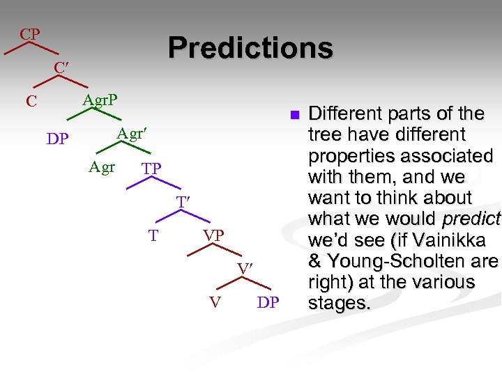 CP Predictions C Agr. P C n Agr DP Agr TP T T VP