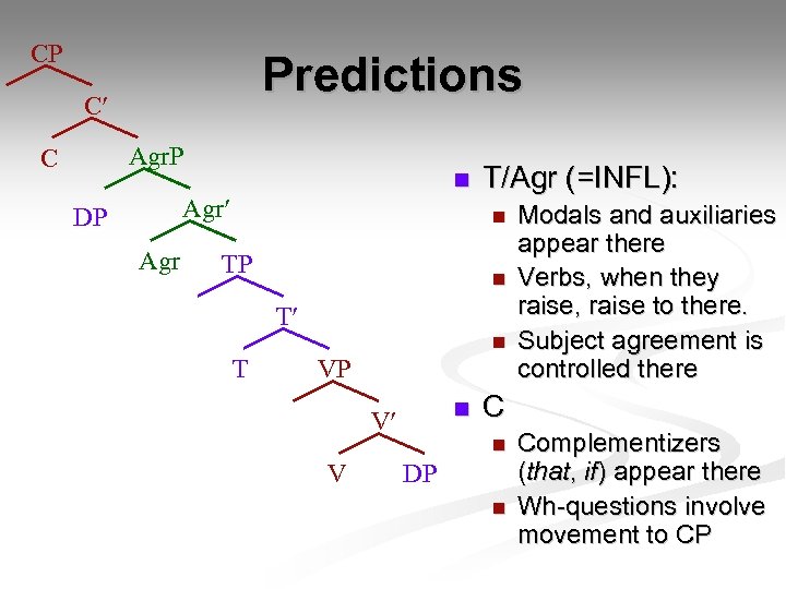 CP Predictions C Agr. P C n Agr DP Agr T/Agr (=INFL): n TP
