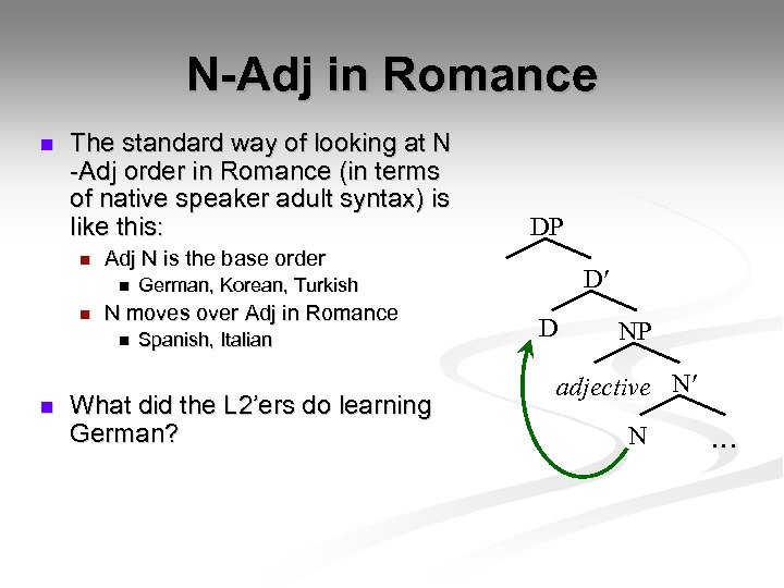 N-Adj in Romance n The standard way of looking at N -Adj order in