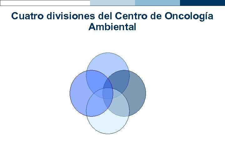 Cuatro divisiones del Centro de Oncología Ambiental 