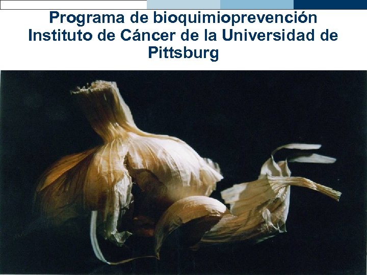 Programa de bioquimioprevención Instituto de Cáncer de la Universidad de Pittsburg 