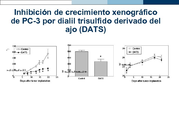 Inhibición de crecimiento xenográfico de PC-3 por dialil trisulfido derivado del ajo (DATS) 