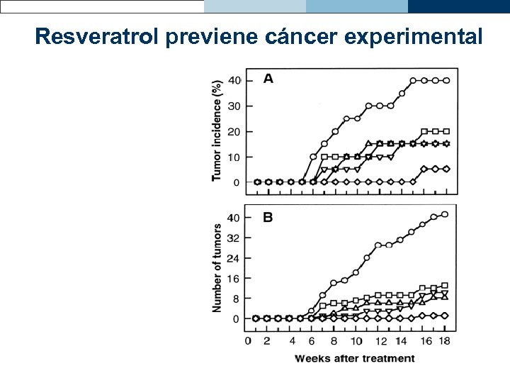 Resveratrol previene cáncer experimental 