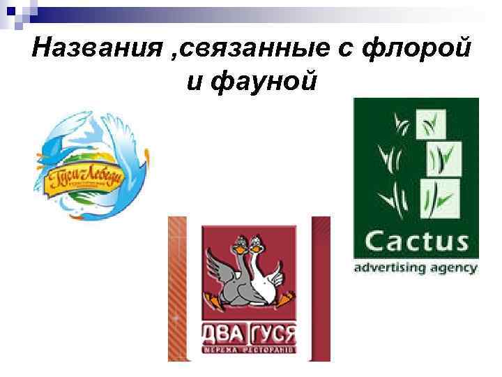 Названия , связанные с флорой и фауной 