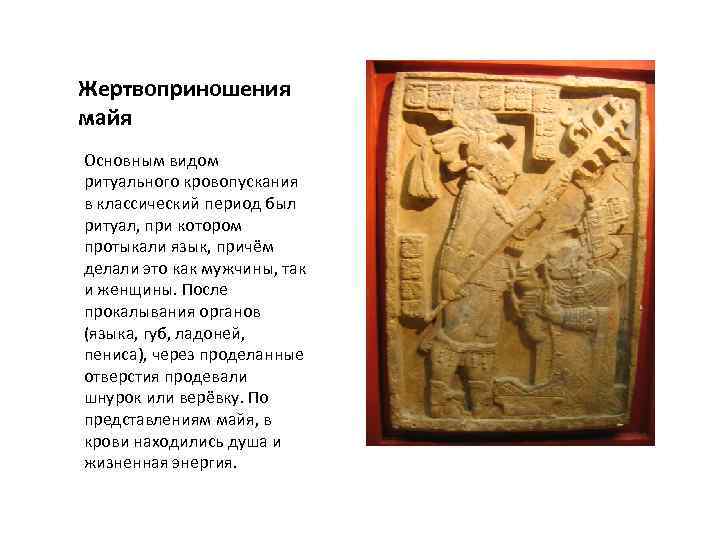 Жертвоприношения майя Основным видом ритуального кровопускания в классический период был ритуал, при котором протыкали