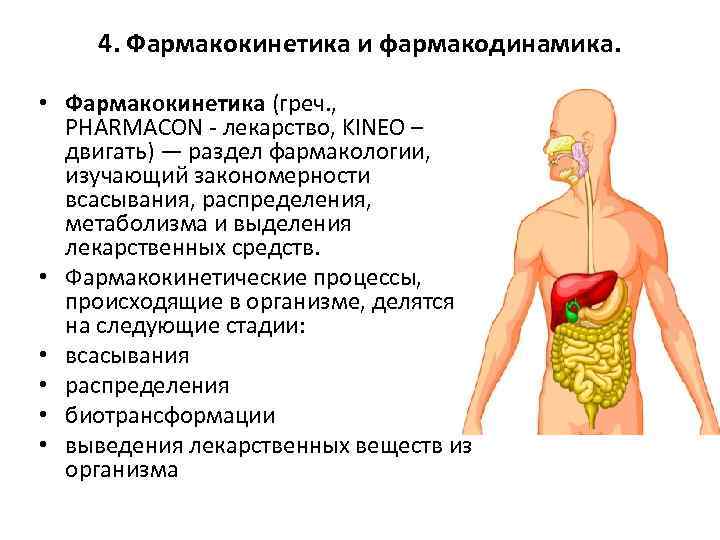 Фармакокинетика