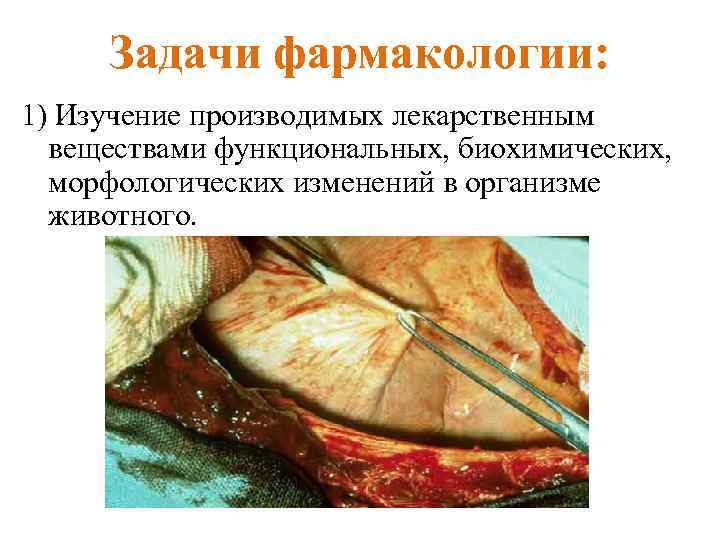 Задачи фармакологии: 1) Изучение производимых лекарственным веществами функциональных, биохимических, морфологических изменений в организме животного.