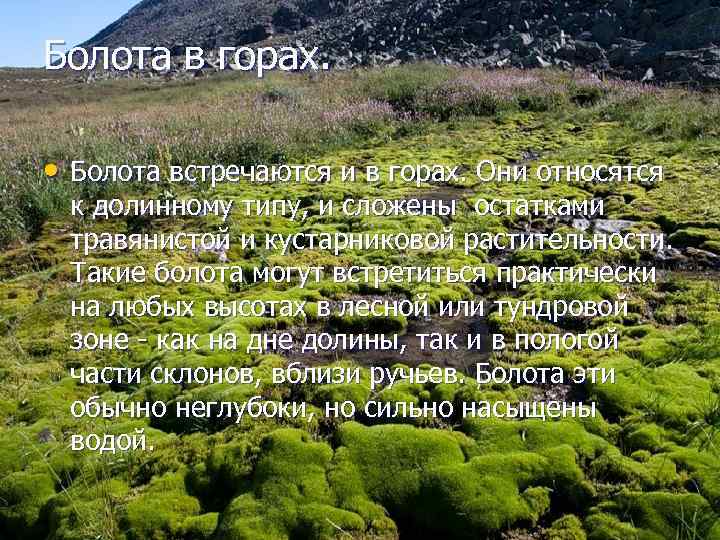 Болота в горах. • Болота встречаются и в горах. Они относятся к долинному типу,