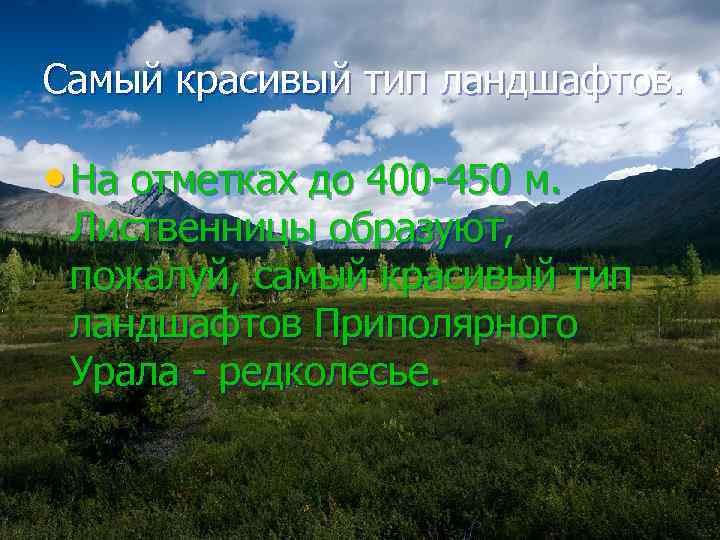 Самый красивый тип ландшафтов. • На отметках до 400 -450 м. Лиственницы образуют, пожалуй,