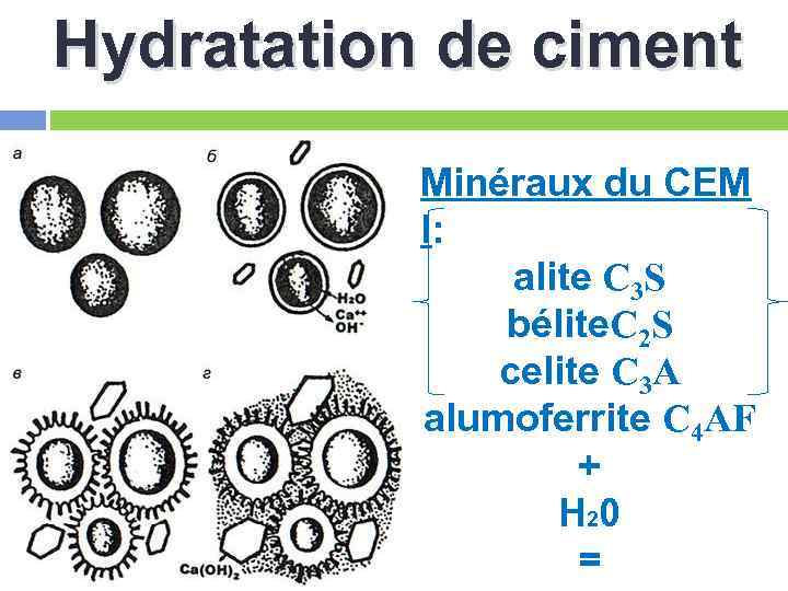 Hydratation de ciment Minéraux du CEM I: alite C 3 S bélite. C 2
