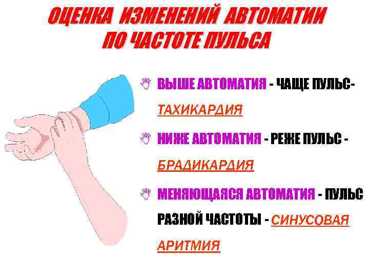 ОЦЕНКА ИЗМЕНЕНИЙ АВТОМАТИИ ПО ЧАСТОТЕ ПУЛЬСА N ВЫШЕ АВТОМАТИЯ - ЧАЩЕ ПУЛЬСТАХИКАРДИЯ N НИЖЕ