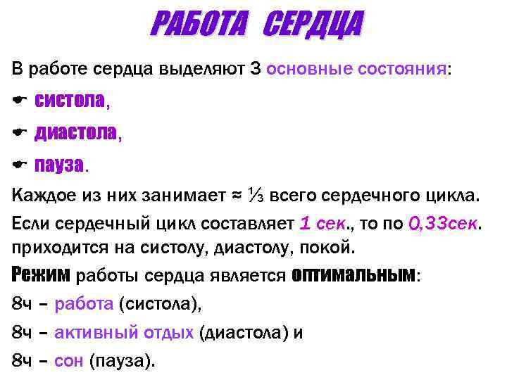 РАБОТА СЕРДЦА В работе сердца выделяют 3 основные состояния: E систола, E диастола, E