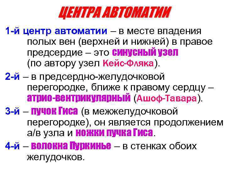 ЦЕНТРА АВТОМАТИИ 1 -й центр автоматии – в месте впадения полых вен (верхней и