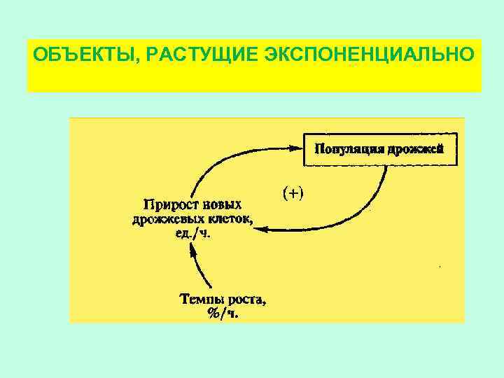 ОБЪЕКТЫ, РАСТУЩИЕ ЭКСПОНЕНЦИАЛЬНО 