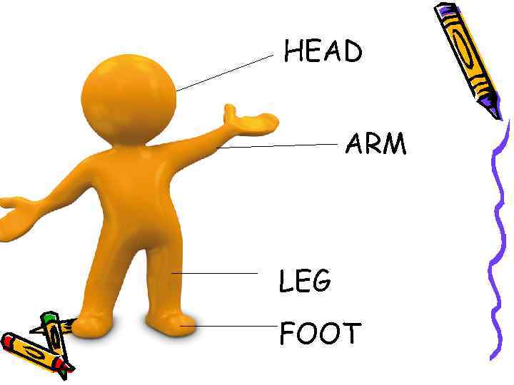 HEAD ARM LEG FOOT 