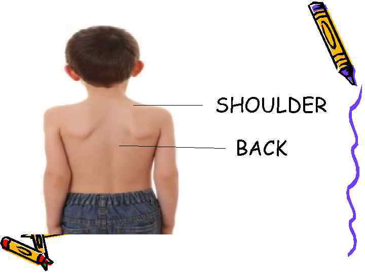 SHOULDER BACK 