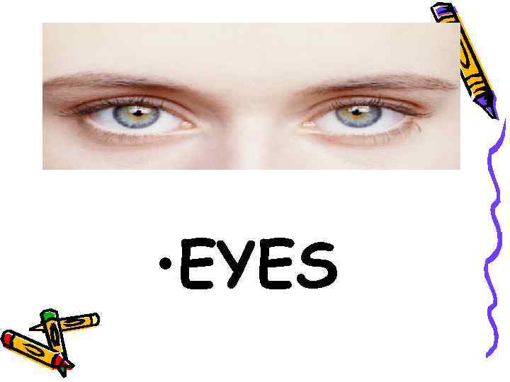  • EYES 