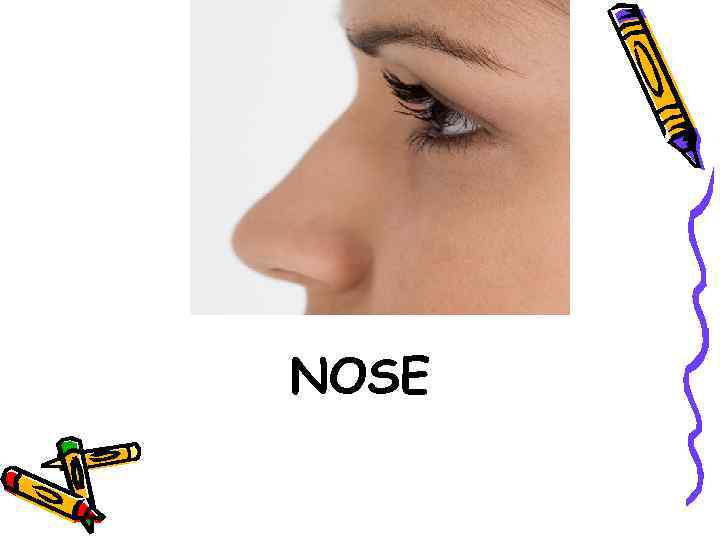 NOSE 