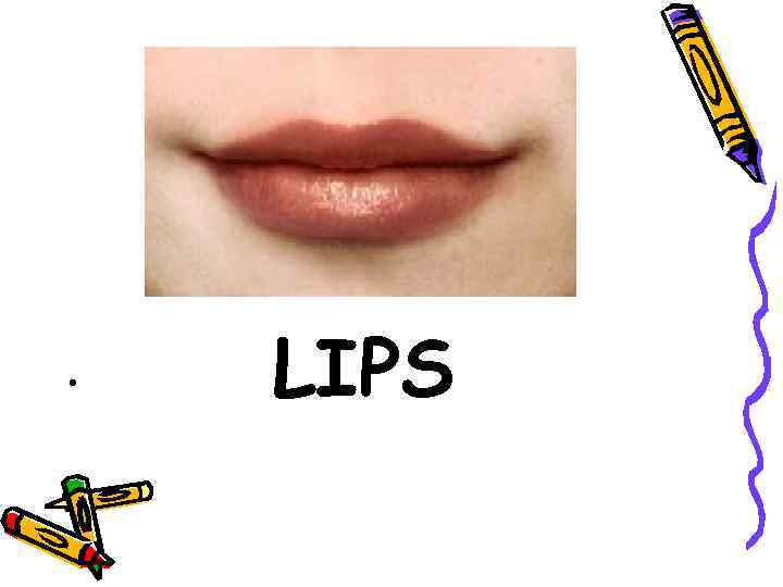  • LIPS 