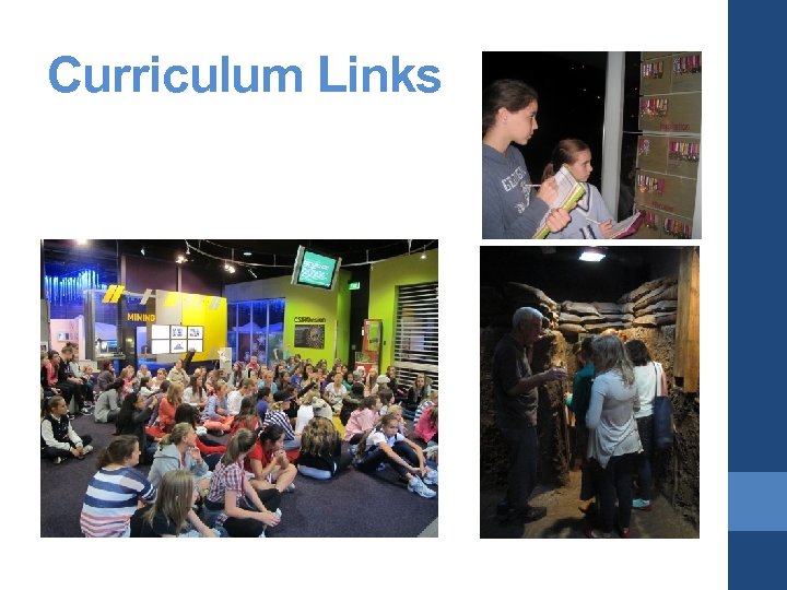 Curriculum Links 