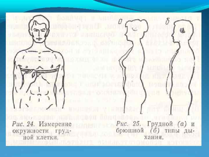 Рассмотрите рисунки 1 2 с изображением измерения обхвата грудной клетки человека как называется этот