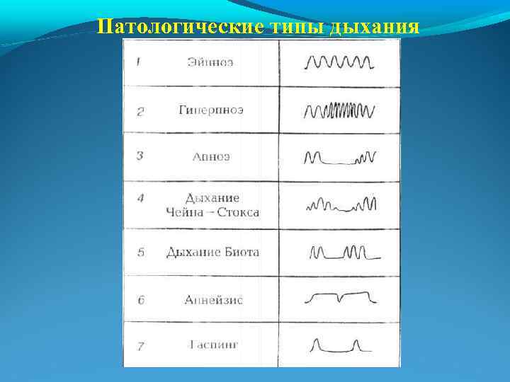 Патологические типы дыхания 