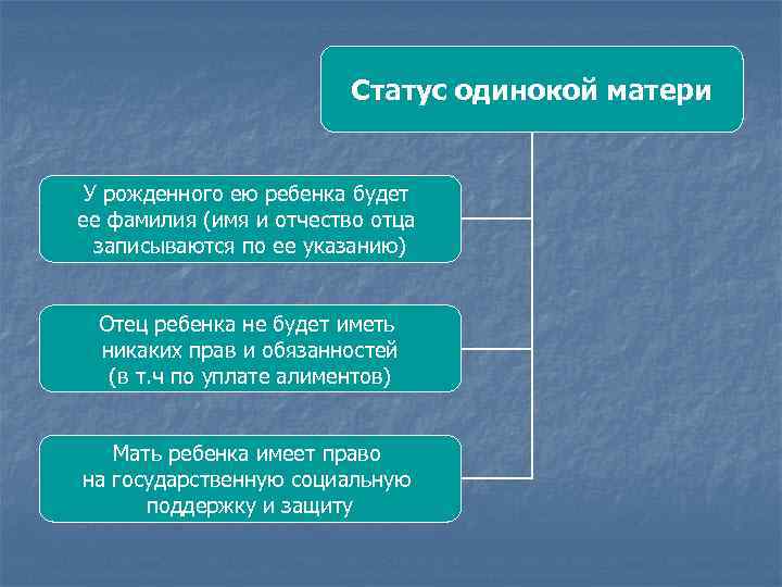 Статус одинокой матери У рожденного ею ребенка будет ее фамилия (имя и отчество отца