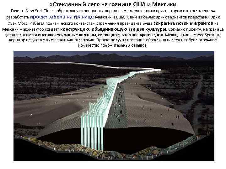  «Стеклянный лес» на границе США и Мексики Газета New York Times обратилась к