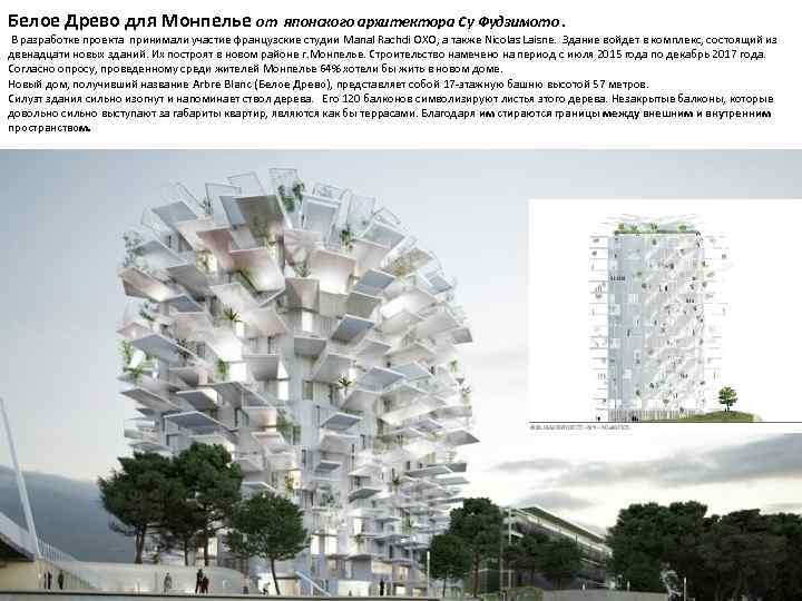 Белое Древо для Монпелье от японского архитектора Су Фудзимото. В разработке проекта принимали участие