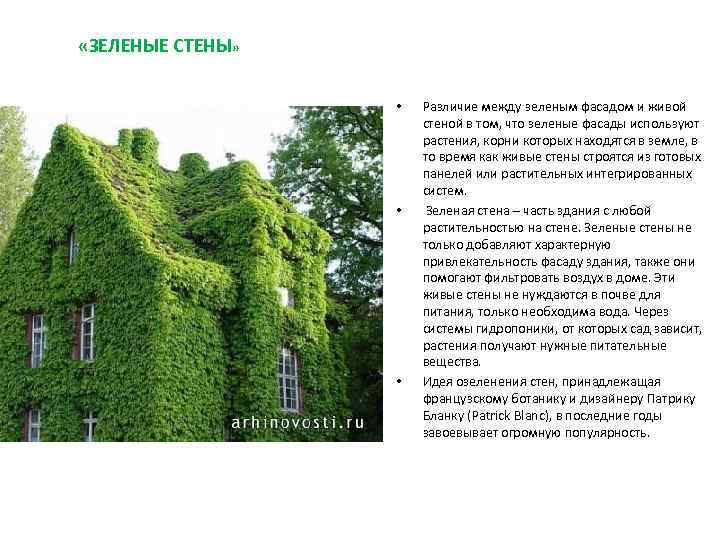  «ЗЕЛЕНЫЕ СТЕНЫ» • • • Различие между зеленым фасадом и живой стеной в