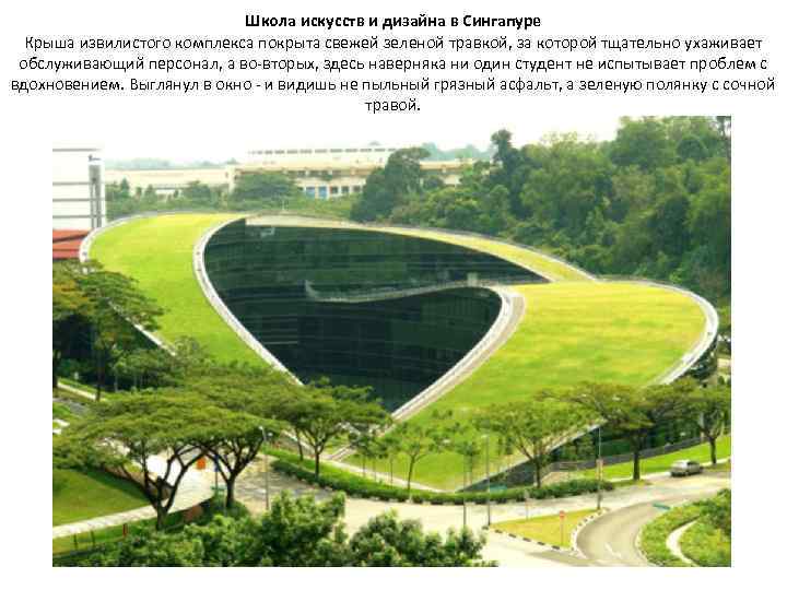Школа искусств и дизайна в Сингапуре Крыша извилистого комплекса покрыта свежей зеленой травкой, за