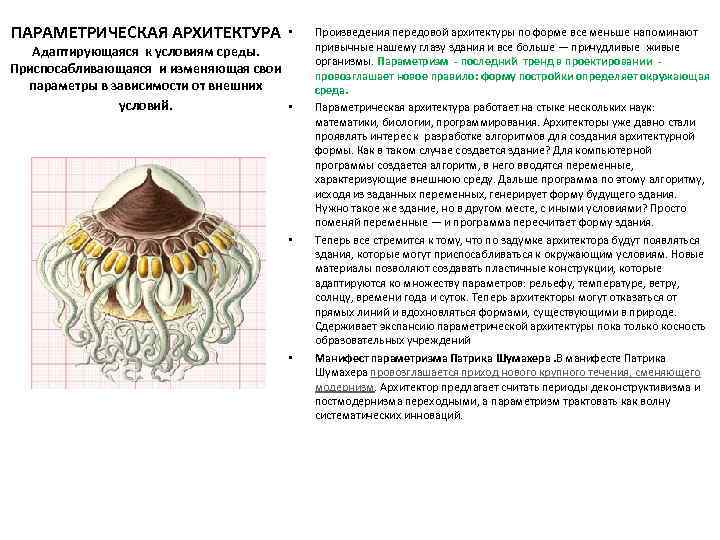 ПАРАМЕТРИЧЕСКАЯ АРХИТЕКТУРА • Адаптирующаяся к условиям среды. Приспосабливающаяся и изменяющая свои параметры в зависимости