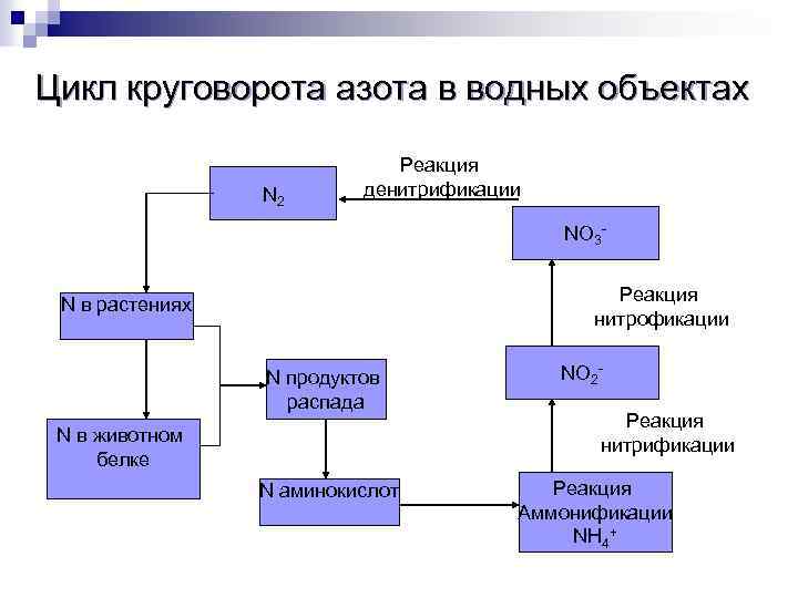 Схема нитрификации денитрификации