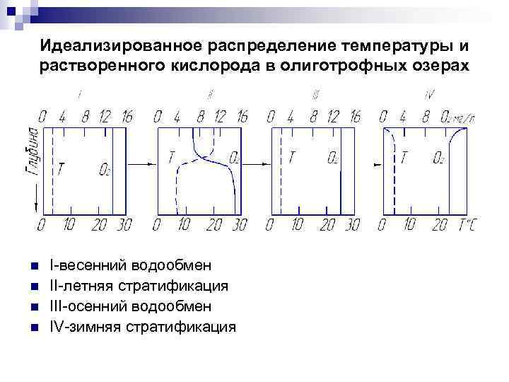 Идеализированное распределение температуры и растворенного кислорода в олиготрофных озерах n n I-весенний водообмен II-летняя