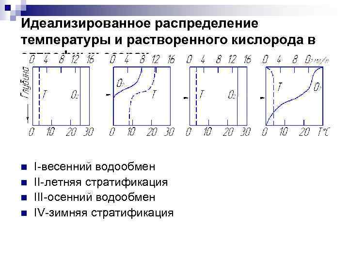 Идеализированное распределение температуры и растворенного кислорода в евтрофных озерах n n I-весенний водообмен II-летняя