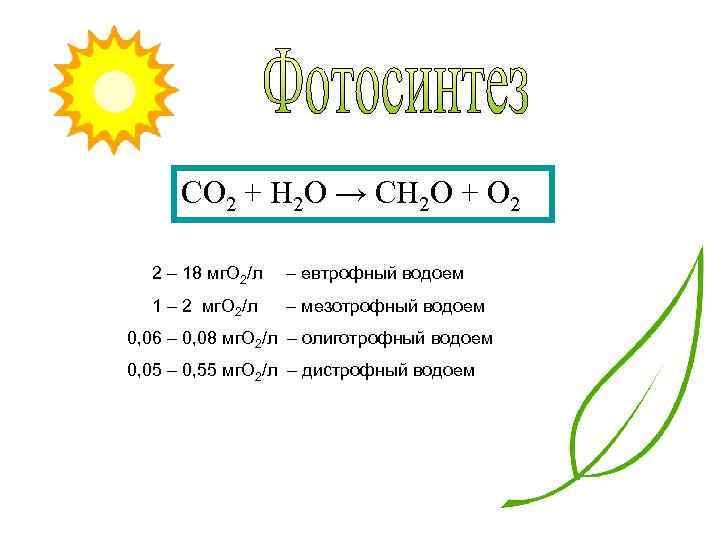 CO 2 + H 2 O → CH 2 O + O 2 2