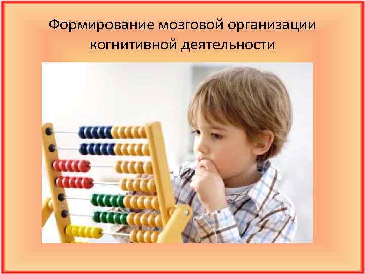 Формирование мозговой организации когнитивной деятельности 