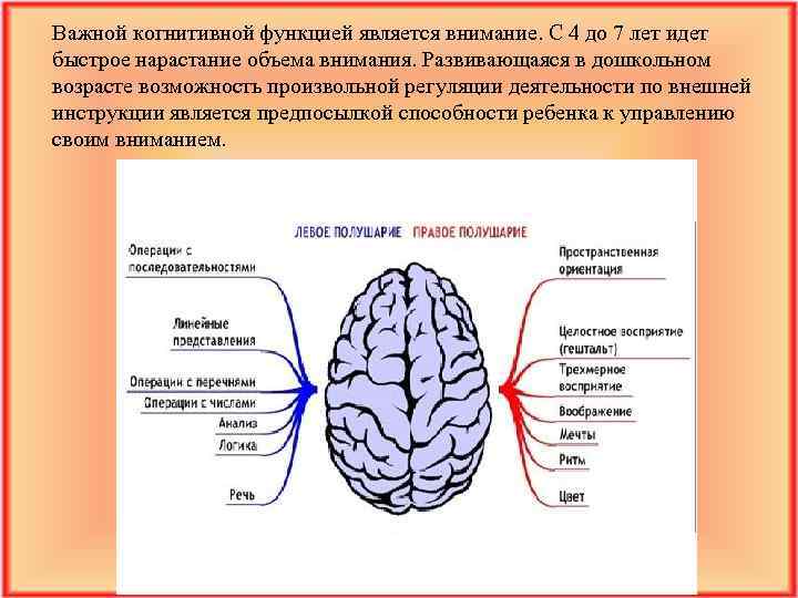 Ребенок активен конструирует собственные когнитивные схемы