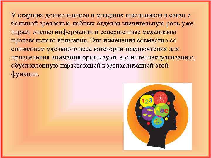 У старших дошкольников и младших школьников в связи с большой зрелостью лобных отделов значительную