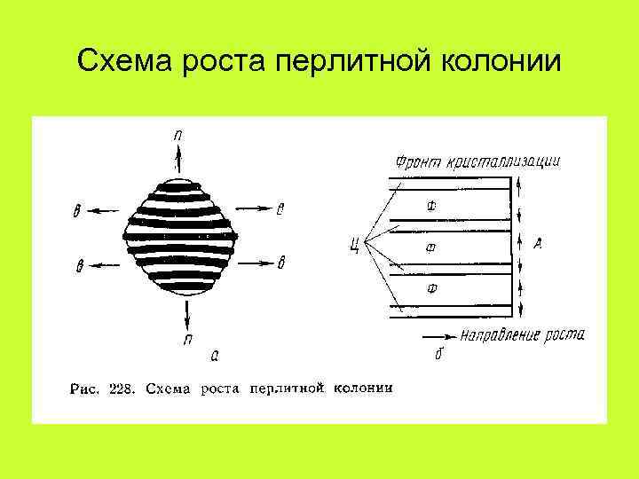 Схема роста перлитной колонии 